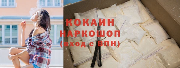 гашик Алексин