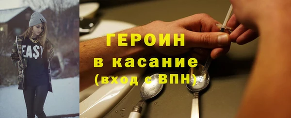 гашик Алексин