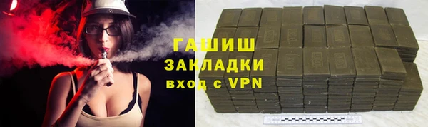 гашик Алексин