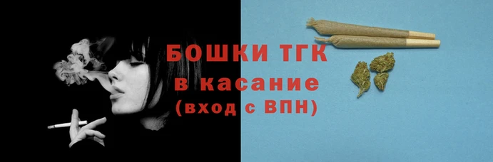 гашик Алексин