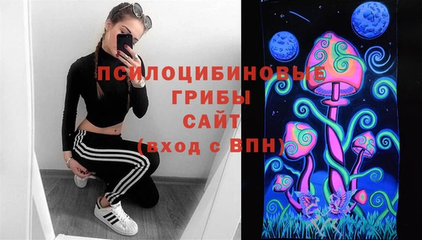 ешки Абаза