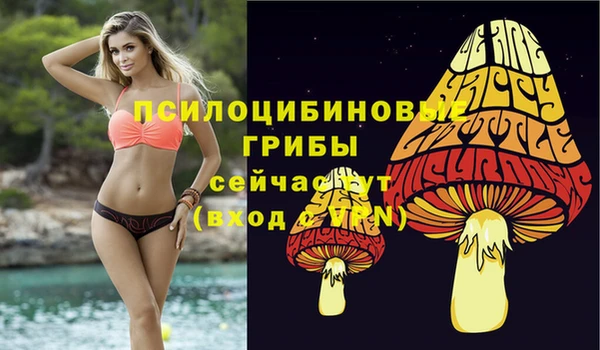 герыч Алзамай
