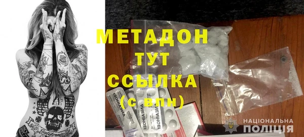 гашик Алексин