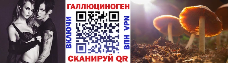 дарнет шоп  сайты даркнета официальный сайт  Галлюциногенные грибы Psilocybine cubensis  Исилькуль 